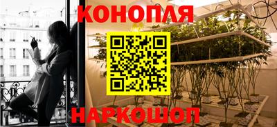 хмурый Новокубанск